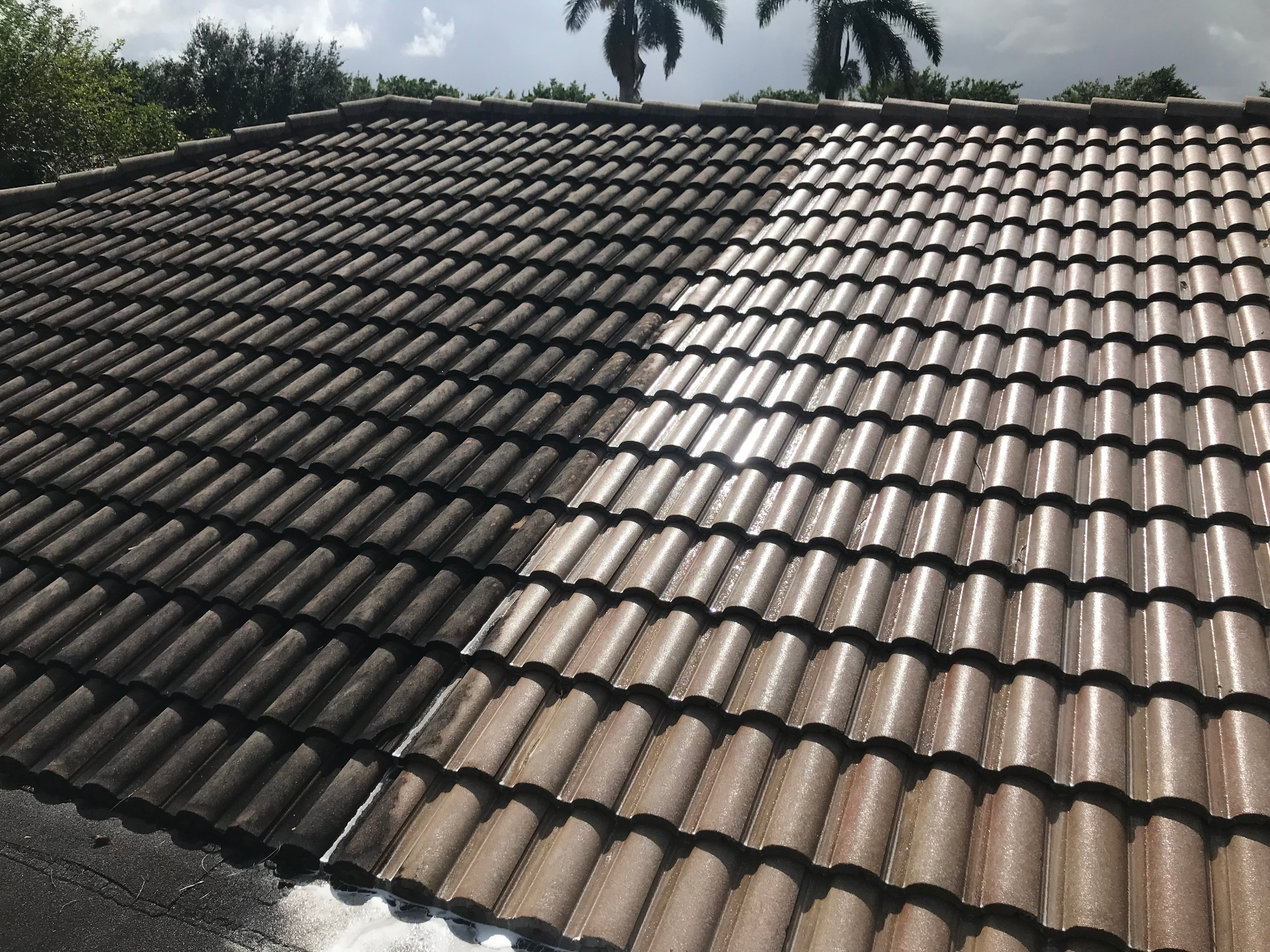 Tile roof with one side dirty and the other freshly cleaned