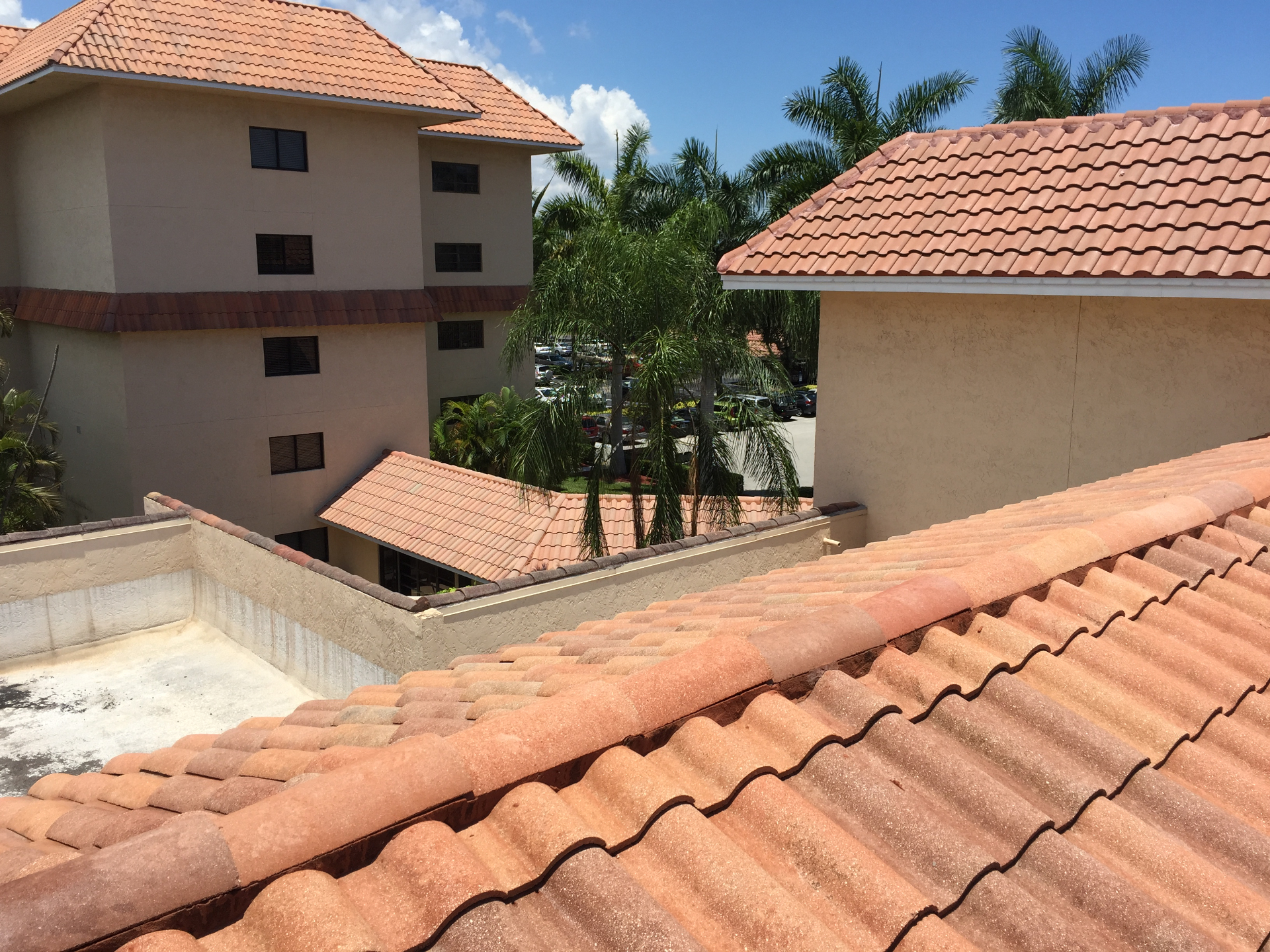 Mid-project shot at Axe Retirement showing tile roofing partially cleaned — treated sections restored to their original clay color next to still-stained tile
