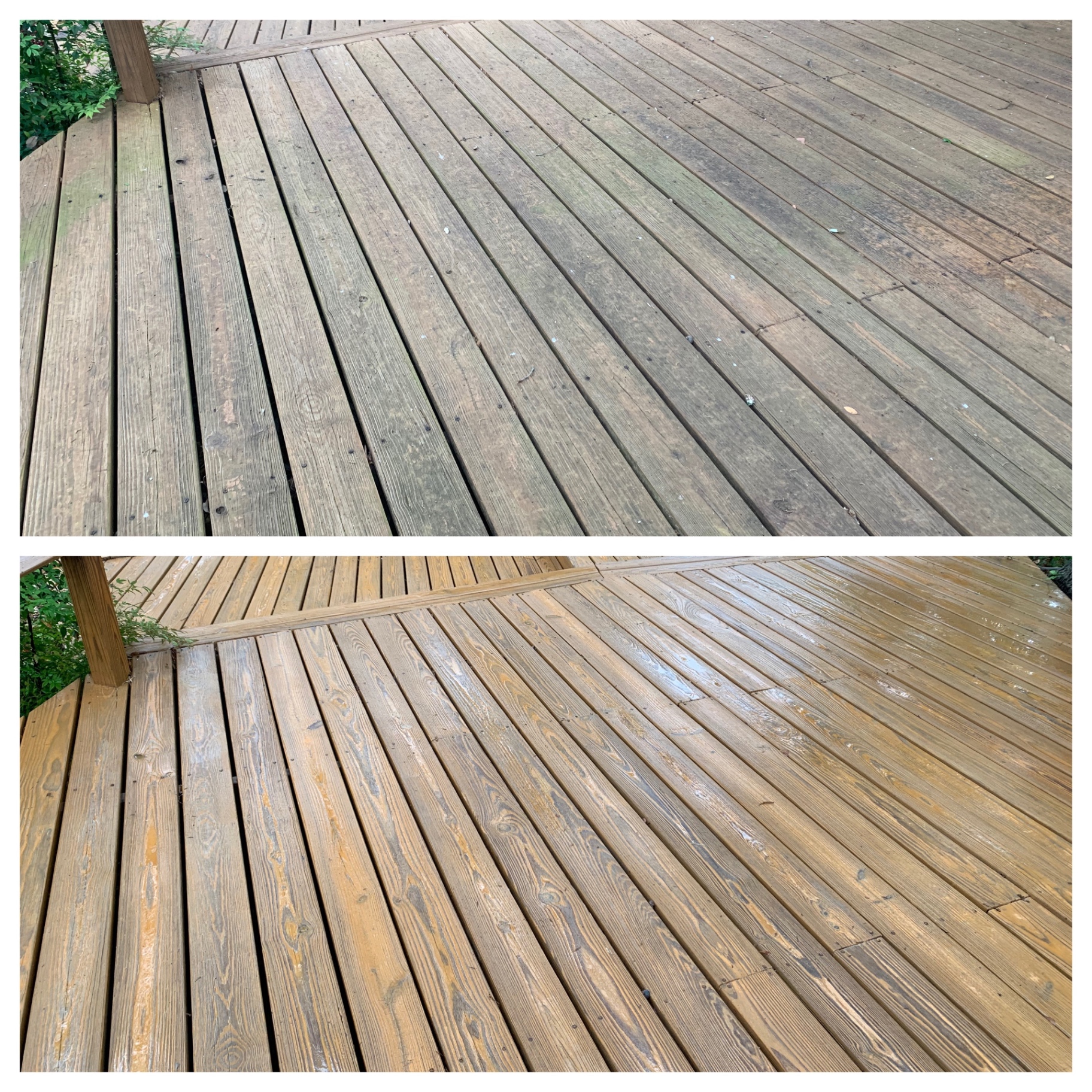 Close-up of deck planks before and after proper cleaning — heavy graying and mildew replaced by warm, even wood tone with no fuzzing or torn grain