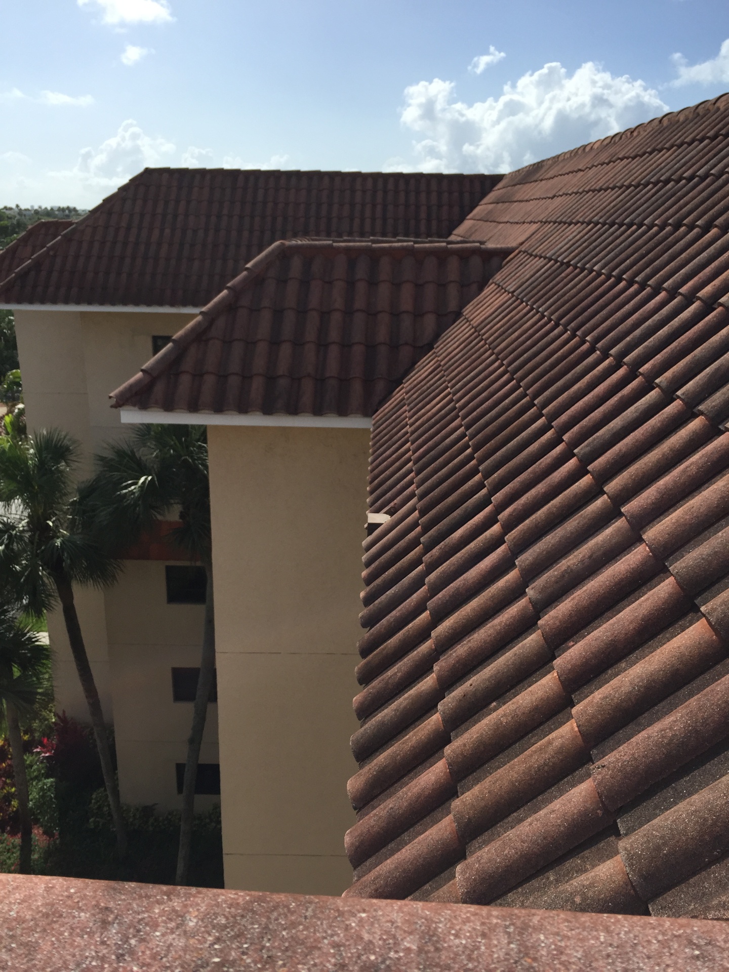 Close-up of steep red barrel tile roof at Axe Retirement showing heavy algae staining and dark streaking before cleaning
