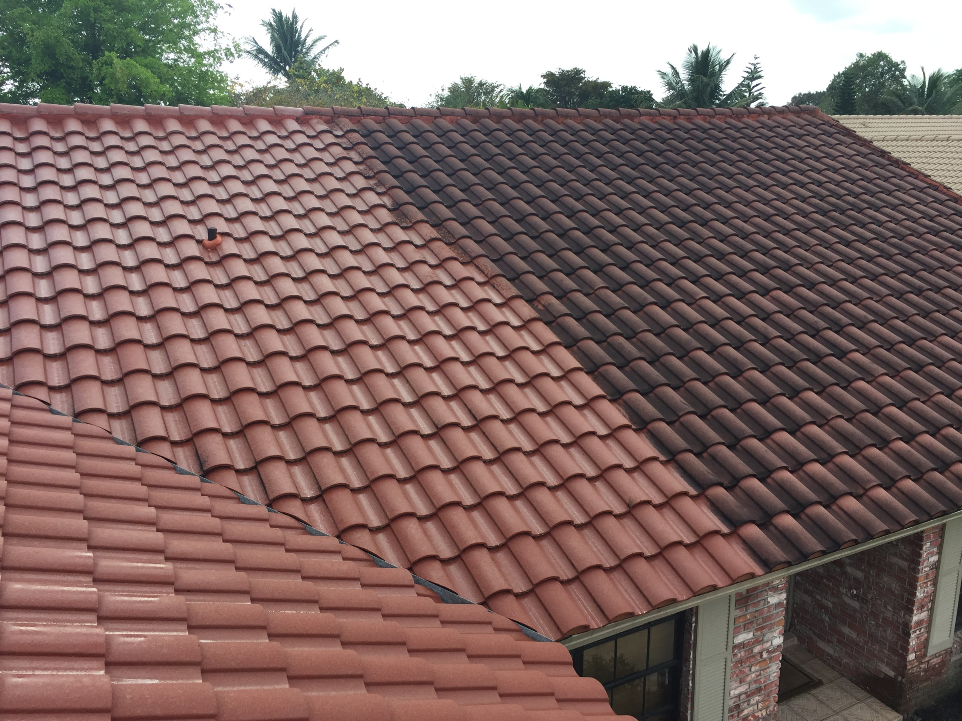 Roof Cleaning