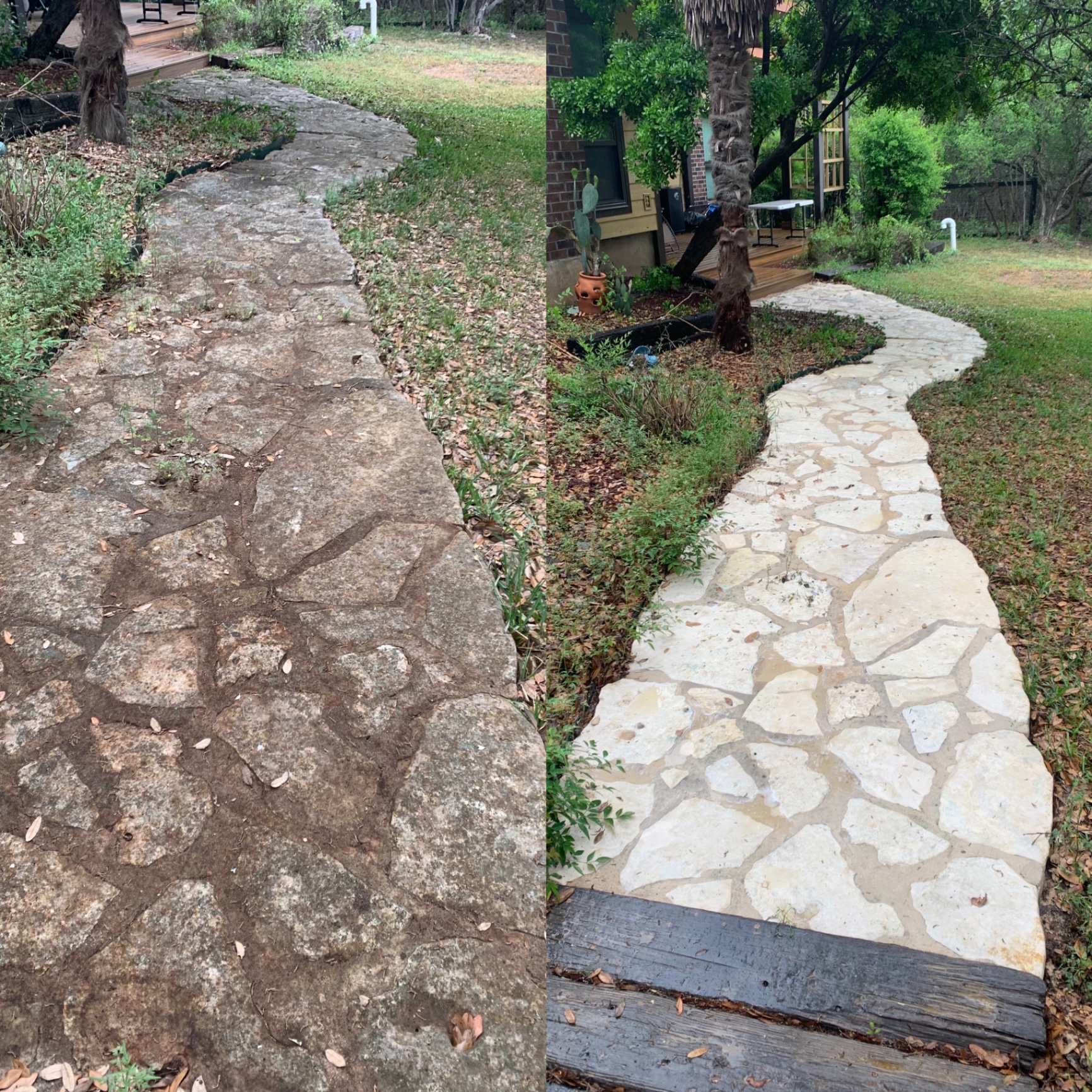 Flagstone walkway before and after professional cleaning — dark, mildew-stained stone on the left, bright natural limestone on the right