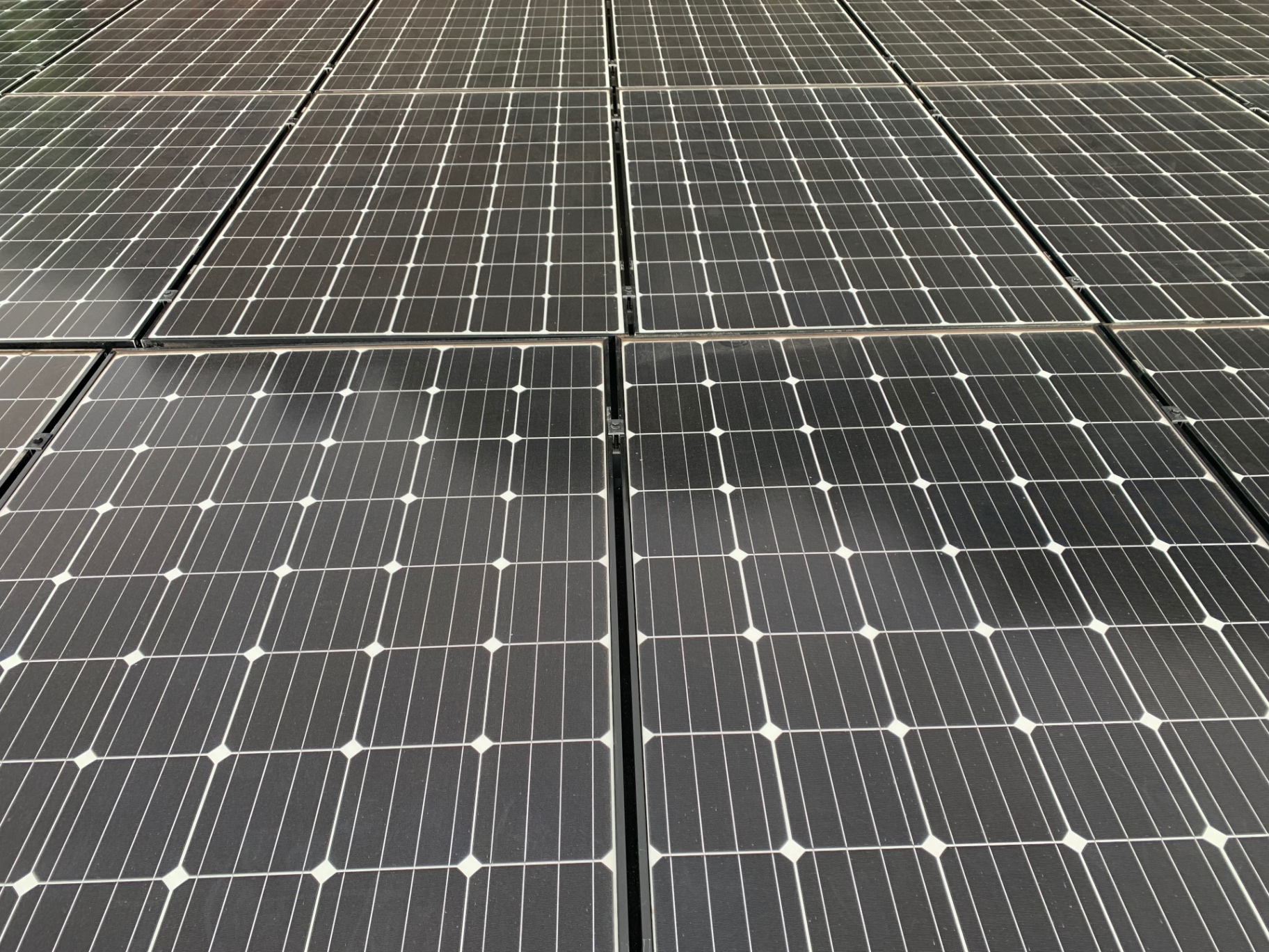 Freshly cleaned residential rooftop solar array with even, streak-free panels