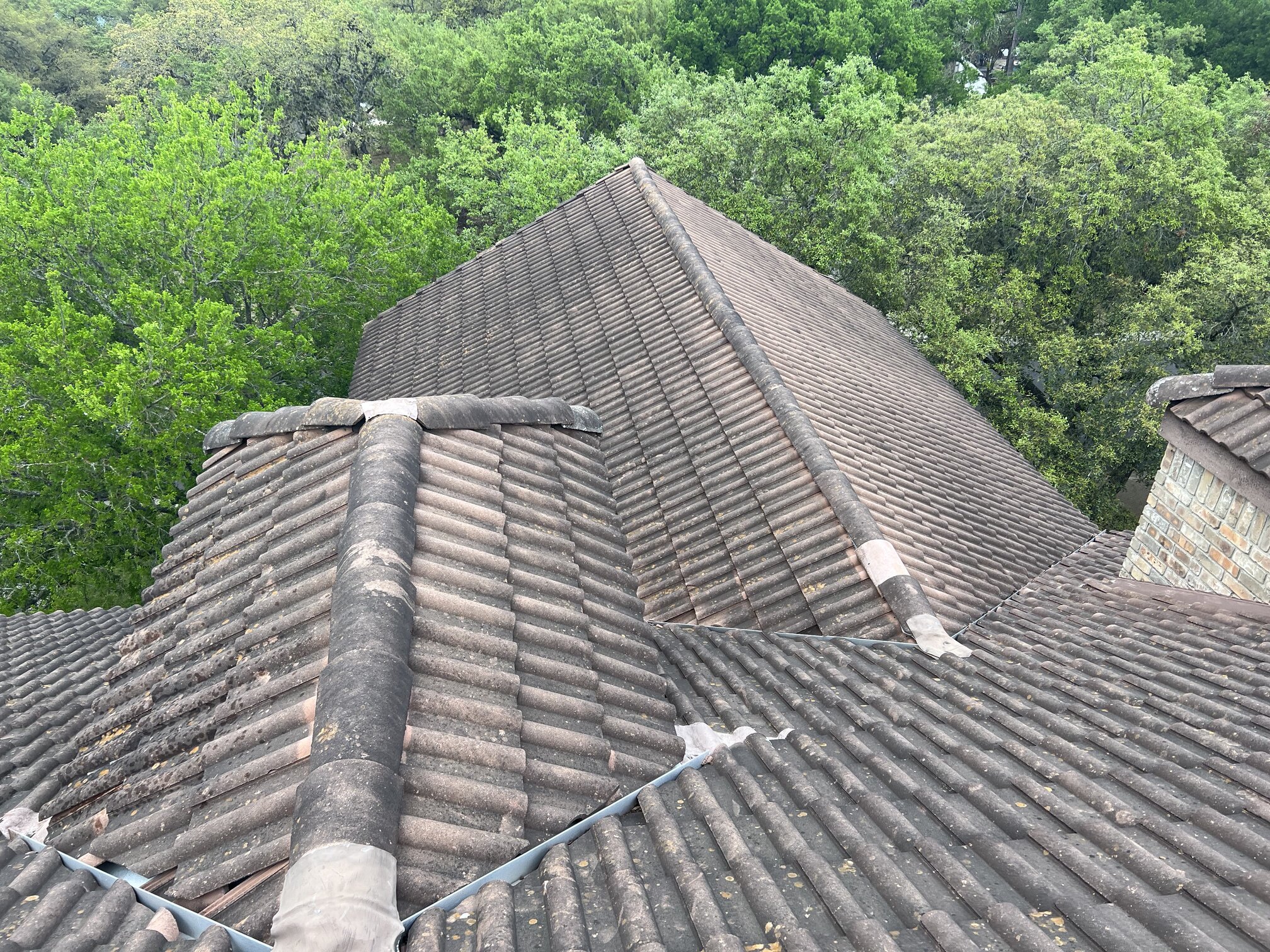 Steep tile roof in Fair Oaks Ranch with years of built-up algae, lichen, and dark streaking — a typical first-time roof cleaning in the neighborhood
